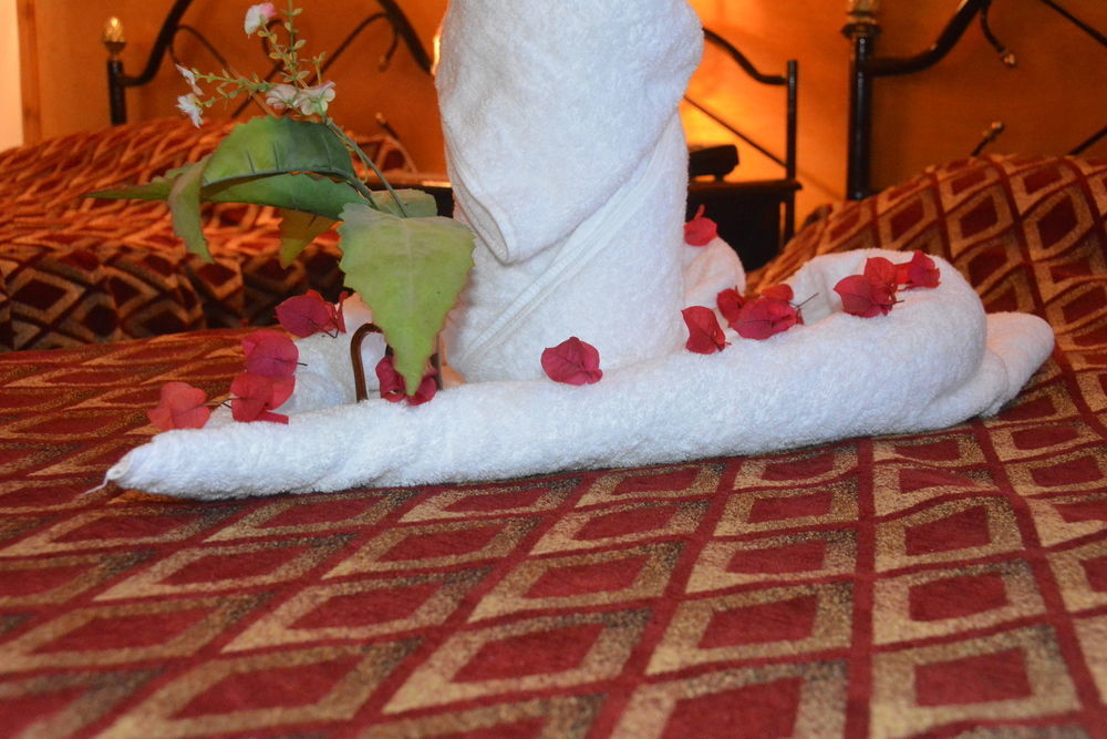 El Gezira Garden Hotel Louxor Extérieur photo