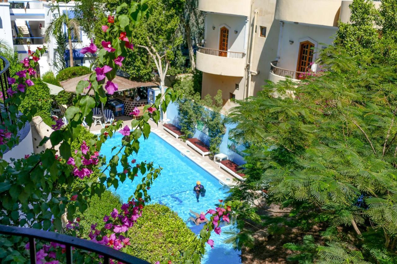 El Gezira Garden Hotel Louxor Extérieur photo