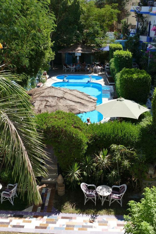 El Gezira Garden Hotel Louxor Extérieur photo